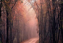 尤文图斯苦战扼杀对手，进军八强