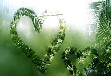 阿拉维斯客场顽强逼平对手，展现坚韧斗志的精神力量