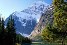 法兰克福球员齐心协力，奋力争胜前进——团结拼搏的体育精神激励万众