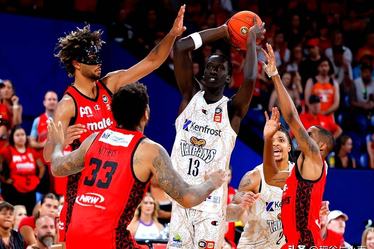 澳大利亚篮球联赛：凯恩斯突袭悉尼国王队的简单介绍
